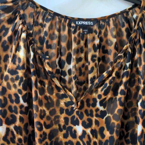 Express Medium Women's Long Sleeve Blouse in Leopard Print, Sheer, Lightweight - Picture 3 of 6